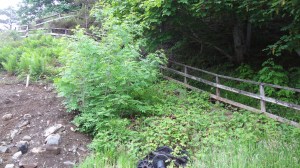 So I come across these stairs