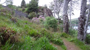 you can see the area I did not get to. I actually thought of climbing up there but my concern was coming down.