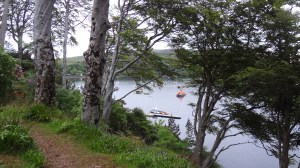 the straight drop down added a bit of punch to this beautiful view.