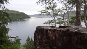 steadying myself on the trunk