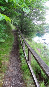  The path itself. I'm quite fond of this railing