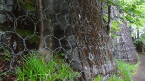 Further along: the left side of the path