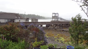 Looking at the pier from the dress shop. The cafe is way to the right. I can't remember the name of these beautiful blue bushes.