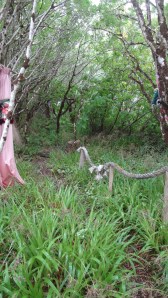 I was a bit on the path before I started taking photos