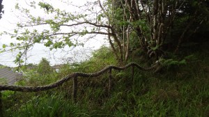Looking down on the dress shop roof - and water