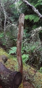 The occasional sculpture