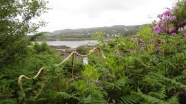 But there was a bench I could sit on and feel so so so lucky, blessed and fortunate.