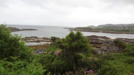 I saw no wild life while there.